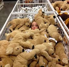 18 Menschen Die Grandios An Ikea Gescheitert Sind Ikea Bilder Smaland