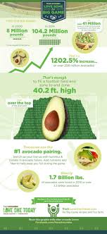 Come si mangia l'avocado?chiariamo subito: L Avocado Come Si Mangia