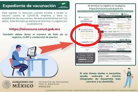 Documento de posición sobre vacunación con la vacuna sputnik v | comisión nacional de documento de posición sobre vacunación con vacuna producida por el laboratorio astrazeneca. Te Vas A Vacunar Vs Covid Checa Como Llenar Tu Expediente De Vacunacion