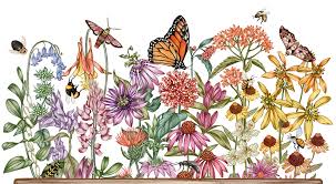 Huntington's premiere landscape & pool provider. Pollinator Paradise