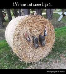 L'humour est dans le pré book. Anthologie Egoiste De Philosophie Beitrage Facebook