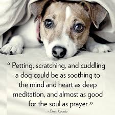 40 Dog Quotes That Will Make Your Heart Melt Dog Quotes Dogs Pets