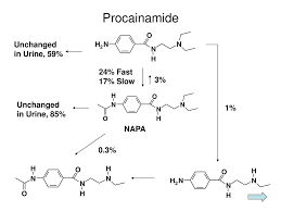 Image result for Procainamide