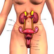 Describe louie's first experience with running for a sport. Virginity Teen Health And Wellness