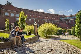 KTH subjects among top 50 in ShanghaiRanking | KTH