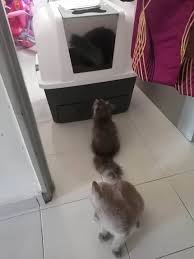 1 jam aku tunggu kau. The Johor Saba Nyee Lah Aku Tunggu Kau Ni Cepat La Facebook