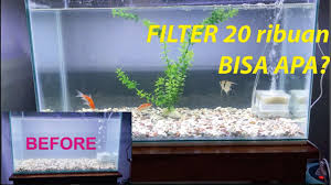 Kisaran harga filter aquarium kecil merk aquila p900. Review Filter Aquarium Celup Mini Harga Cuma 20 Ribuan Youtube