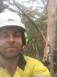 Tree removal pruning and arborist services in the South West