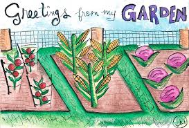 Check spelling or type a new query. Quarantine Postcard The Veggie Garden Drawing By Gina Martinelli