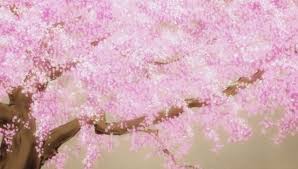 Check out amazing sakura_tree artwork on deviantart. Sakura Scenery Tumblr Posts Tumbral Com