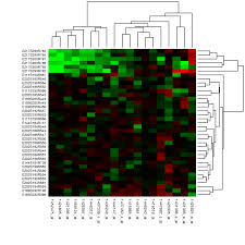 Image result for bioinformatics heatmap