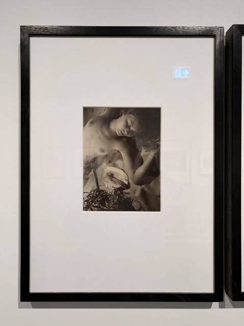 photojournalismArt Blart _ art and cultural memory archive
