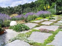 Duftterrasse Galabau Thomas Bemmann Waldheim Garten Pflanzen Garten Garten Gestalten