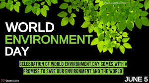 Amid the coronavirus pandemic, the theme of the 47th world environment day is 'ecosystem. 29 Best World Environment Day 2021 Quotes Wishes Messages Greetings Theme Images Pictures Wallpaper