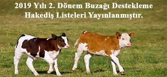 Tekirdag Ili Damizlik Sigir Yetistiricileri Birligi