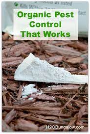 From supplement to pesticide to preservative, de has many uses. Diatomaceous Earth For Organic Pest Control Organic Pest Organic Pest Control Garden Pest Control