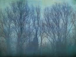 See winter solstice stock video clips. Winter Solstice Free Stock Photos Download 4 709 Free Stock Photos For Commercial Use Format Hd High Resolution Jpg Images