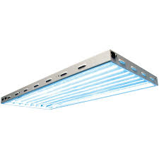 Maybe you would like to learn more about one of these? Sun Blaze 4 8 Lamp T5 Fluorescent Light Fixture Comes With Bulbs