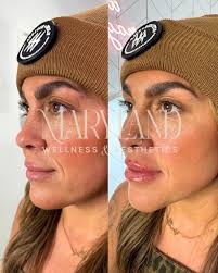 Christmas Eve Santa Visit Availability in Chestertown