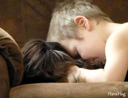 Contact michigan havanese breeders near you using our free havanese breeder search tool below! Havahug Havanese Puppies Havahug Havanese Puppies Of Michigan