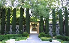 Gardening Flowers Tips And Design Italian Cypress Trees Italian Cypress Backyard Landscaping