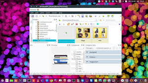 Download xnview 2.49.5 for windows. Xnview Is A Full Featured Image Manipulation And Batch Converter Tool