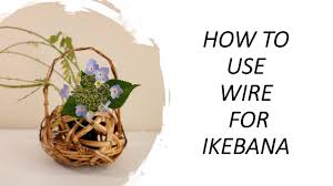 Pt (3 nm)/tbco (6 nm)/pt (3 nm), b: How To Use Wire For Ikebana Youtube