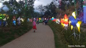 Sakura hills mengusung konsep wisata ala negri sakura dengan suasana gunung lawu. Tiket Masuk Taman Bunga Celosia Bandungan Jadwaltravel Com