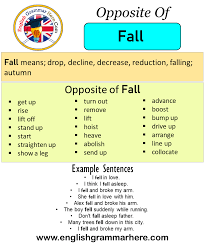 Opposite Of Fall Antonyms Of Fall Meaning And Example Sentences Antonym Opposite Words Contradict Each Other Opposite Words Antonyms English Vocabulary Words It like with the word immature, which is the opposite of. pinterest