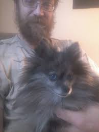 Penny Lane gets more precious everyday🥰