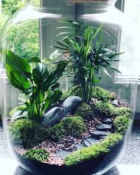 Terrarium Imaginarium Auf Instagram Kleines Gartenwegterrarium Von Wonder Auf Gartenwegterrarium Imagi In 2020 Kleiner Garten Gartenterrarium Flaschengarten