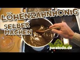 Lowenzahnhonig Selber Machen Paratodo De Vom 06 05 2013 Youtube
