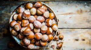 We did not find results for: Ini 5 Jenis Kacang Terbaik Untuk Dikonsumsi Ketika Diet Turunkan Berat Badan Okezone Lifestyle