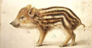 hans hoffman animal paintings pig farming animal art