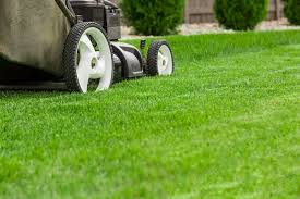 The program is very popular nowadays, but in our opinion, it seems to fail to address one of the most important concerns associated with good lawn care. Reasons You Should Hire Lawn Care Experts Cracks In The Pavement