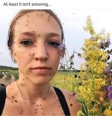 At least it isn't snowing...