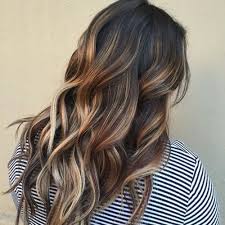 Brown hair with honey highlights. Honey Blonde And Dark Brown Hair Novocom Top