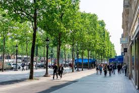 I don't know why i'm the first one to write a review. Cafe Champs Elysee Photos Free Royalty Free Stock Photos From Dreamstime