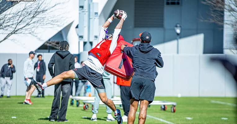 National media dishes on Georgia offense entering 2026: ‘I kind of trust their evaluation’