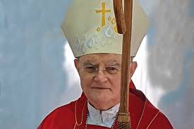 Hoser was appointed titular archbishop of tepelta and associate secretary of the congregation for the. Medjugorje Apostolic Visitor Archbishop Henryk Hoser Places To See Catholic Pilgrimages And Holy Land Tours Blue Heart Travel