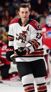 Most recently in the ahl with tucson roadrunners. Michael Bunting Elite Prospects