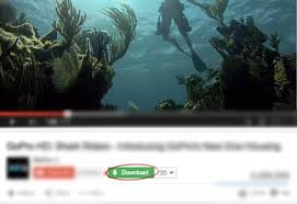 Download Video Dari Youtube Youtube Downloader Online