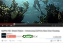 Copy and paste youtube url into the search box, then click start button. Youtube Downloader Download Youtube Videos For Free