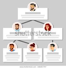 business organization chart template hierarchical