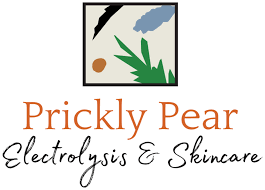 Texture, pore size, melasma/hyperpigmentation, fine lines, wrinkles, scarring, rosacea, stretch marks, acne scars. Prickly Pear Electrolysis Skincare Flower Mound Tx