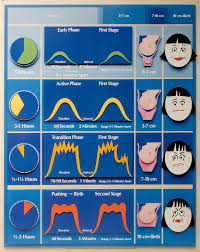 the stages of labor chart first and second transitional