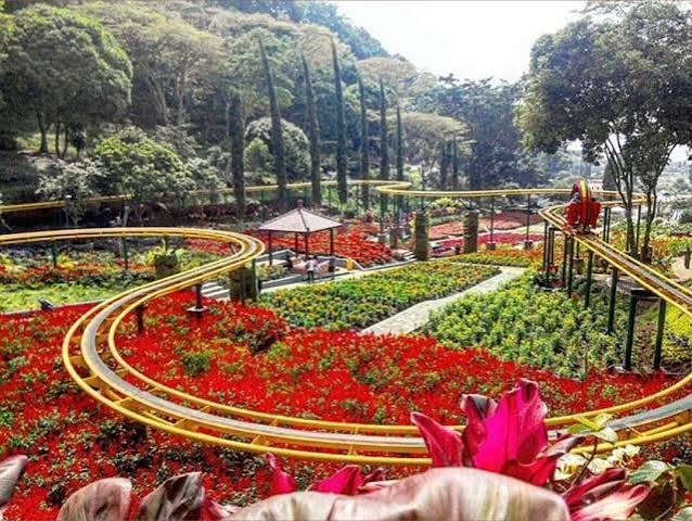 Menikmati Indahnya Taman Rekreasi Selecta, Wisata Keluarga Penuh Warna di Malang - Radar Malang