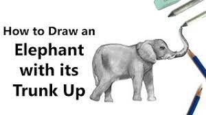 We did not find results for: How To Draw An Elephant With Its Trunk Up With Pencils Time Lapse Youtube