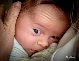 Grace Kellys' granddaughter is all grown up and the 24-year-old is her  reincarnation! Photo in comments 👇👇