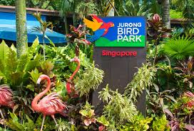 How to save on entrance fee. Jurong Bird Park Ind Travel Recommends